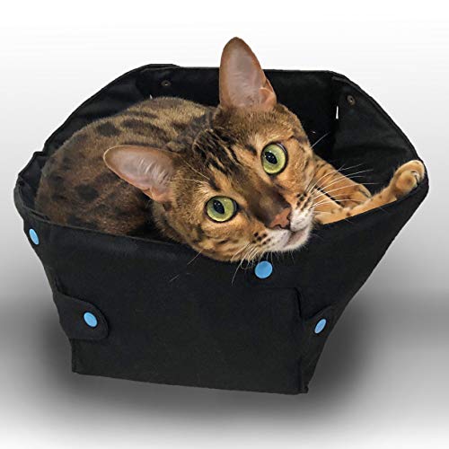 Snobby Reindeer Collapsible Cat Bed, Self Warming Indoor Kitty Box