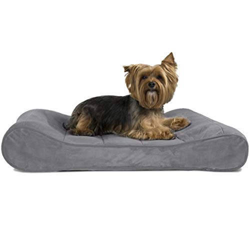 Furhaven Pet Dog Bed | Orthopedic Micro Velvet Ergonomic Luxe Lounger Cradle Mattress Contour Pet Bed w/ Removable Cover for Dogs & Cats, Gray, Medium