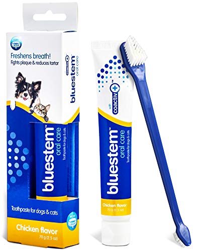 Dog Toothbrush and Toothpaste : Chicken Flavor Tooth Paste