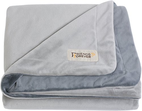 Friends Forever Deluxe Dog Blanket/Throw - 100% Pure Crystal Velvet, Soft Warm Fleece Pet Blanket for Dogs Cats Bed Couch Crate Kennel Car Trunk, Large