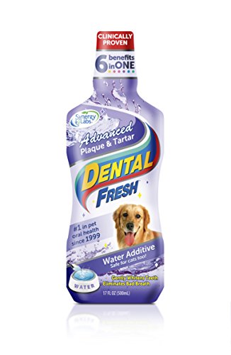 Dental Fresh Water Additive - Advanced Plaque and Tartar Formula for Dogs