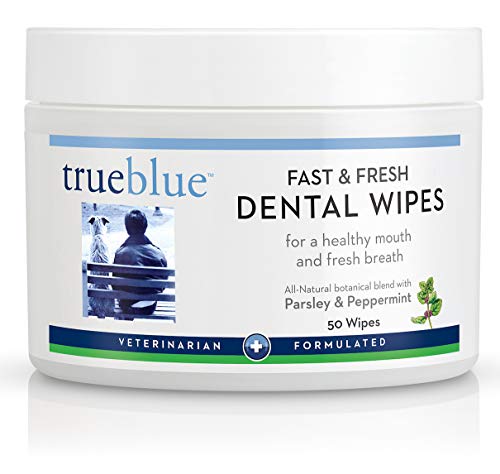 True Blue Fast and Fresh Dental Swipes