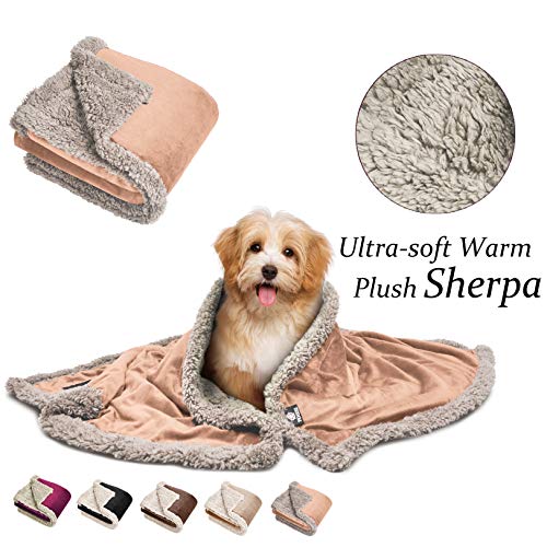 Pawsse Sherpa Puppy Blanket for Small Dogs Kitten