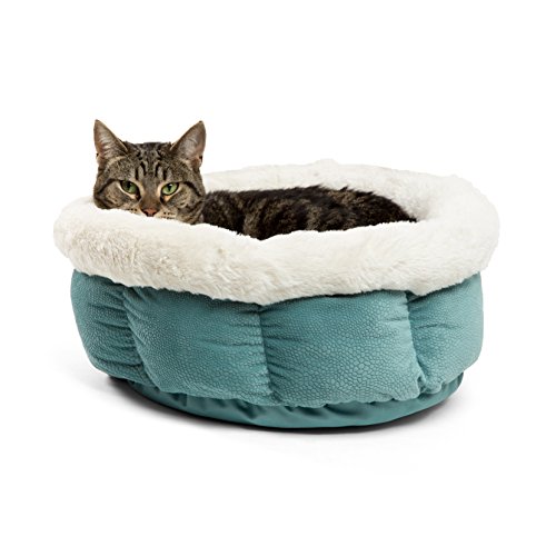 Best Friends by Sheri Small Cuddle Cup - Cozy, Comfortable Cat and Dog House