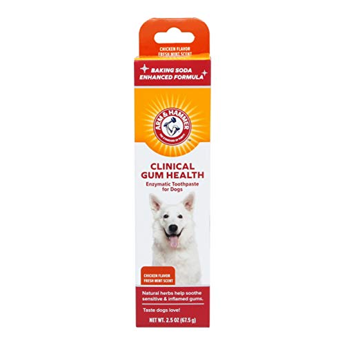 Arm & Hammer Clinical Care Dental Enzymatic Toothpaste for Dogs
