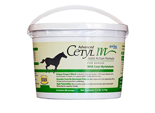 Cetyl M Advanced Joint Action Formula for Horses