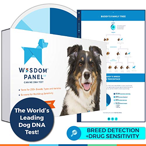 Wisdom Panel 3.0 Canine DNA Test - Dog DNA Test Kit