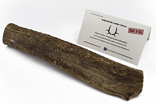 Elk Antler Dog Chews - Extra Large - Premium Grade A Quality Natural Shed Whole