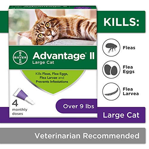 Flea Prevention Cats, over 9 lbs, 4 doses
