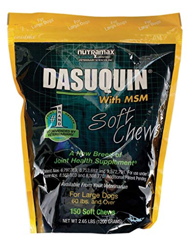 Nutramax Dasuquin with MSM Soft Chews, Large Dog