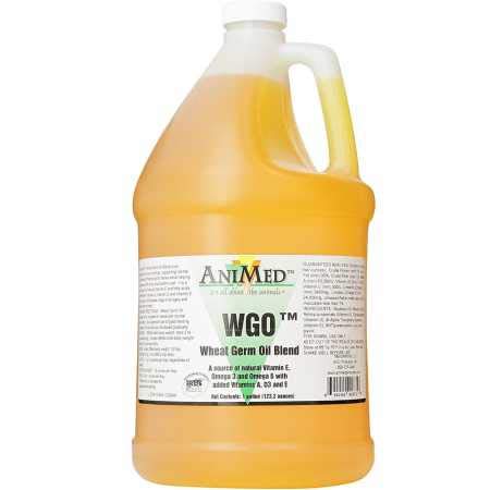 AniMed WGO Wheat Germ Oil Blend For Horses and Dogs