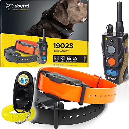 Dogtra Two Dogs Remote Training Collar - 3/4 Mile Range, Waterproof