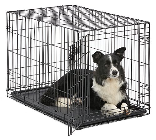 Dog Crate | MidWest iCrate 36 Inch Folding Metal Dog Crate