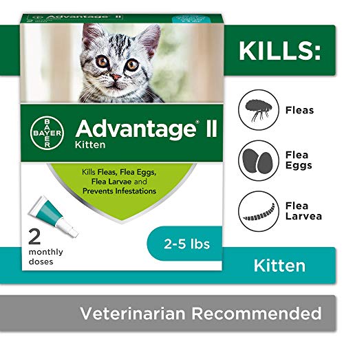 Flea Prevention for Kittens, 2-5 lb, 2 doses