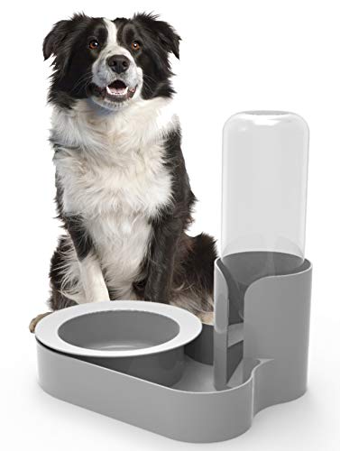 Bugout Original Ant Proof Pet Feeding Bowl & Automatic Water