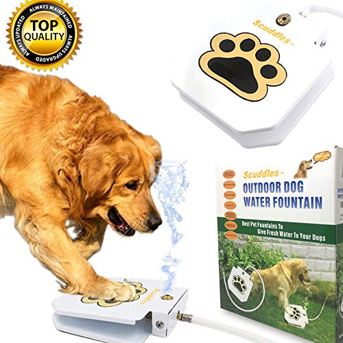 Scuddles Dog Drinking Water Fountain Step On - Outdoor