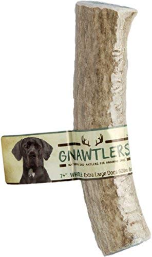 Gnawtlers - Premium Elk Antlers For Dogs, Naturally Shed Elk Antlers