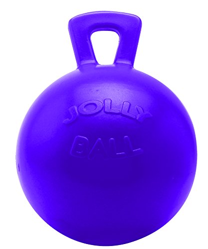 Horsemen's Pride 10" Horse Jolly Ball Purple