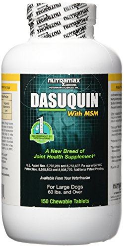 Nutramax Dasuquin with MSM Chewables, Large Dog