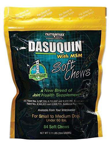 Nutramax Dasuquin with MSM Soft Chews