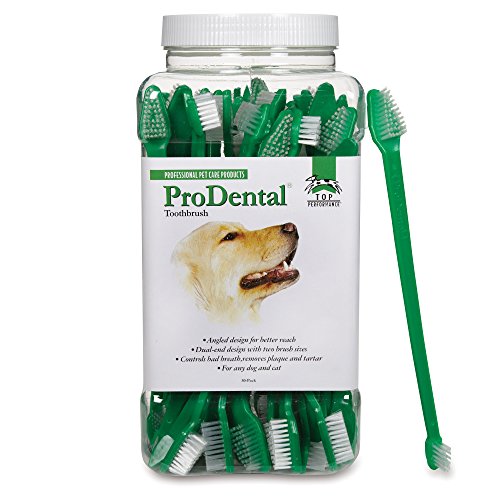 Top Performance ProDental Dual-End Toothbrushes