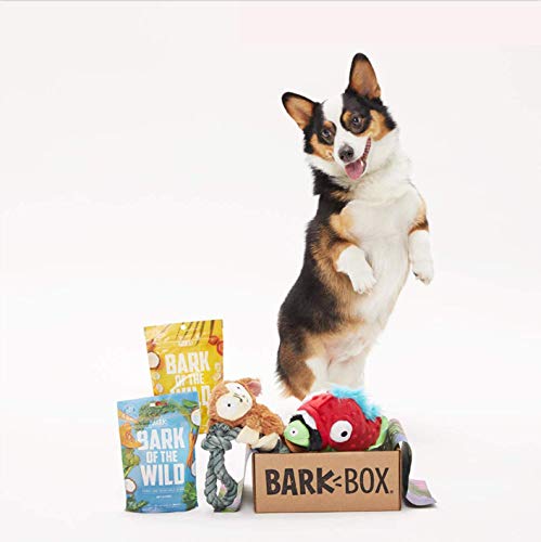 BarkBox Starter Kit Assortment Dog Plush Toys, Chew Toys