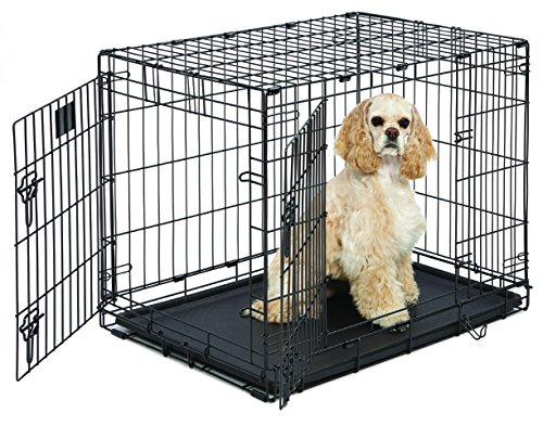 Medium Dog Crate | MidWest Life Stages 30" Double Door Folding