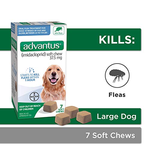 Advantus (imidacloprid) Oral Dog Flea Treatment