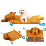 PUPTECK Dog Play Mat - Squeaker in Both Ears and Tail