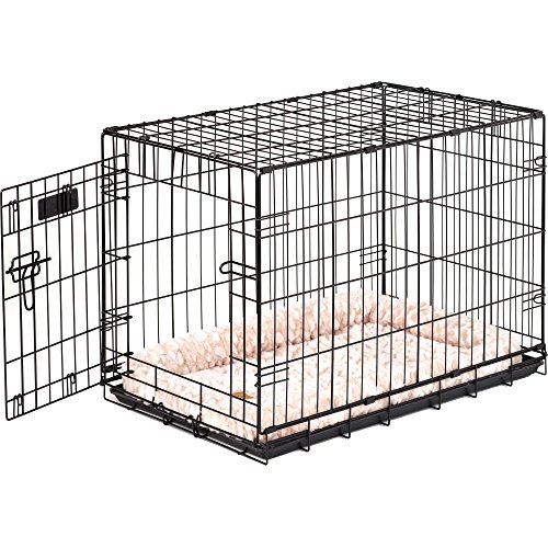 Precision Pet "ProValu," Single Door Dog Crate