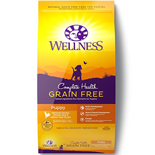 Wellness Complete Health Natural Grain Free Dry Puppy Food, Chicken & Salmon, 24-Pound Bag