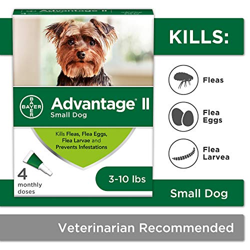 Flea and Lice Treatment for Dogs, 3-10 lb, 4 doses