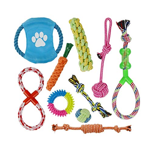 Gustave Dulles New 10 Pcs Dog Toys Interactive Pet Toy Dog Chew Toys