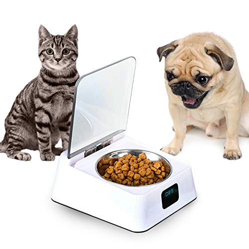 Stainless Steel Portable Pet Dog, Cat Outdoor Travel Water Bowl
