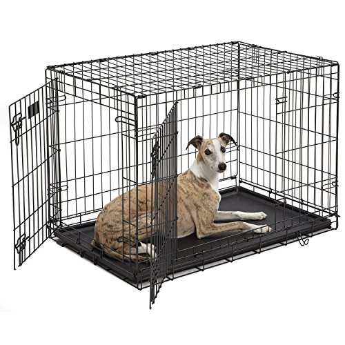 Dog Crate | MidWest iCrate 36 Inches Double Door Folding Metal Dog Crate
