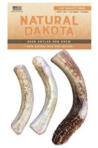 Natural Dakota Premium Deer Antler Dog Chew Toys