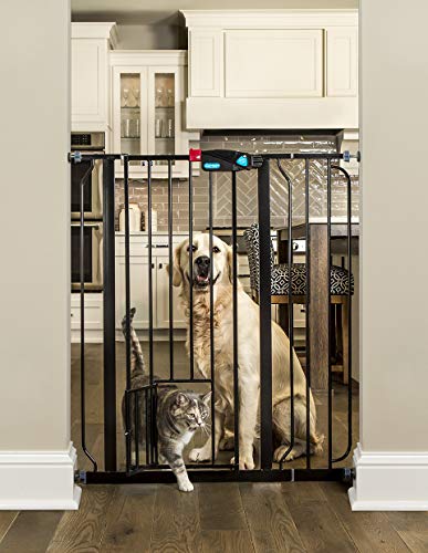 Carlson Extra Tall Walk Through Pet Gate with Small Pet Door