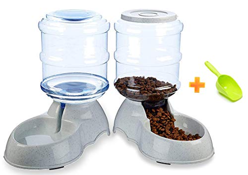 Ito Rocky Pet Feeding Solution Automatic Dog & Cat Cafe Feeder