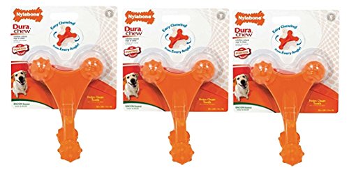 (3 Pack) Nylabone Dura Chew Axis Bone Dog Chew Toy