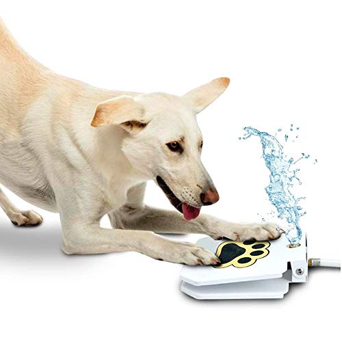 Trio Gato Outdoor Dog Pet Water Sprinkler Easy Activated Dog Water Fountain Toy