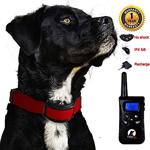 Paipaitek No Shock Dog Training Collar Remote Rechargeable Waterproof