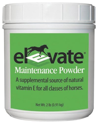 KENTUCKY PERFORMANCE PROD 044097 Elevate Maintenance Powder Supplement for Horses, 2 lb