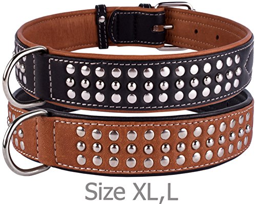 CollarDirect Studded Dog Collar Leather Pet Collars for Dogs