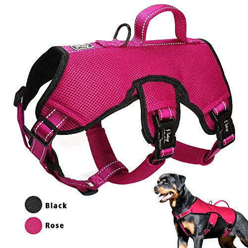 Didog Multi-Use Escape Proof Dog Harnesses for Escape Artist Dogs