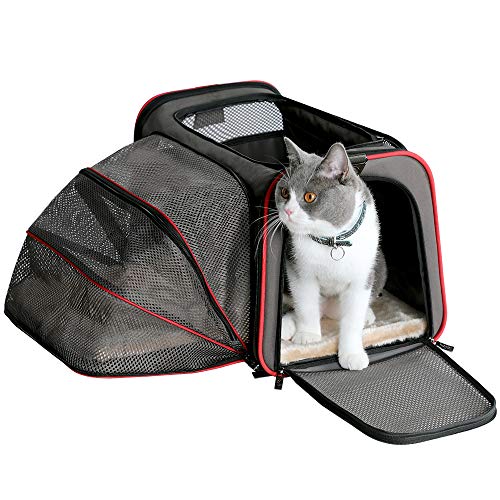 Petsfit Airplane Cabin Travel Expandable Pet Carrier for Dog and Cat Under 15 Pounds, 18" x 11" x 11"
