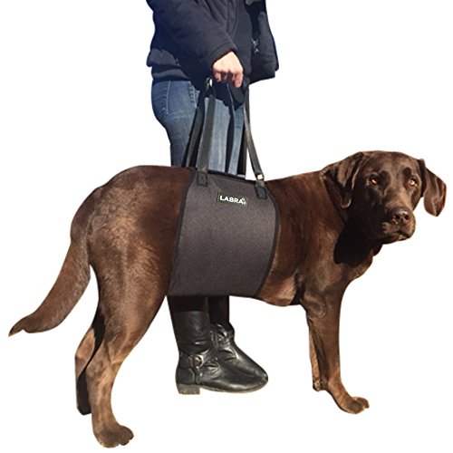 Labra Veterinarian Approved Dog Canine K9 Sling Lift Adjustable Straps