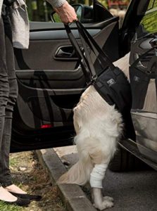 toldi Dog Sling Dog Lift Harness - Dog Leg Brace for Hind Leg