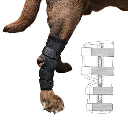 Labra Supportive Dog Rear Leg Hock Joint Wrap Brace