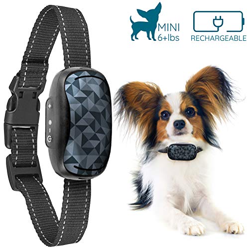 GoodBoy Small Rechargeable Dog Bark Collar for Tiny to Medium Dogs