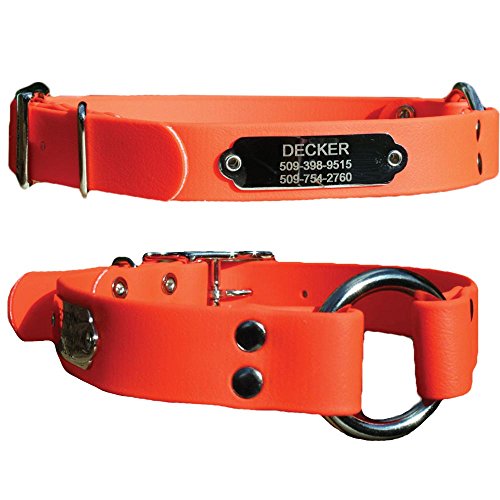 GoTags Sporting Dog Collar with Personalized Nameplate in Stainless Steel